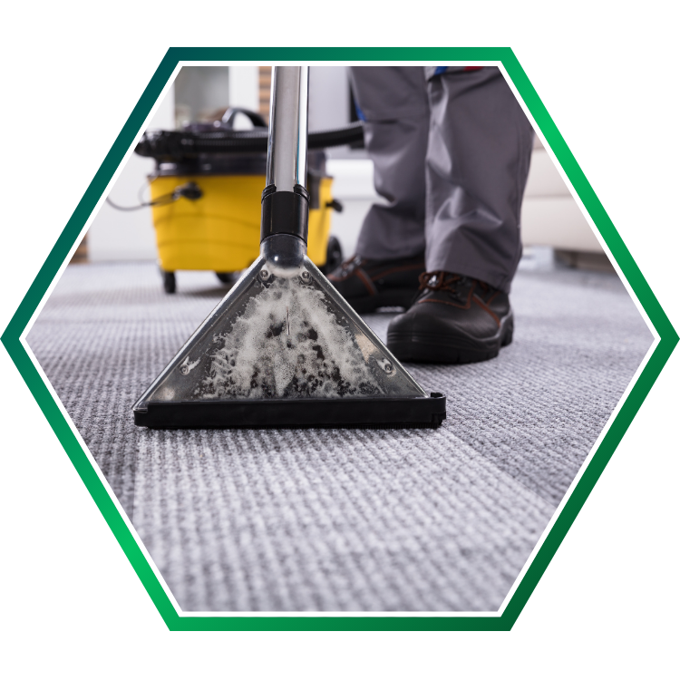 Expert carpet cleaning service.