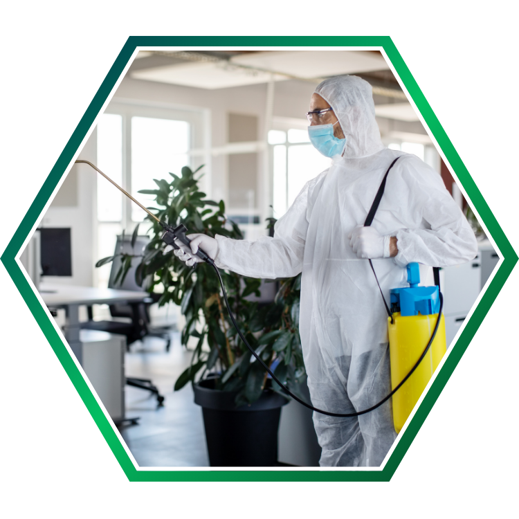 Workplace sanitization service ensures a clean environment.